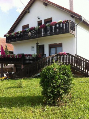 Гостиница Guesthouse Magdalena  Раковица